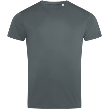 Vêtements Homme T-shirts manches longues Stedman AB332 Gris