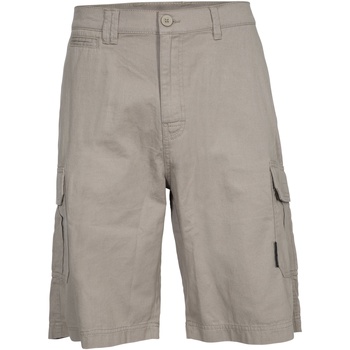 Vêtements Homme Shorts / Bermudas Trespass Rawson Beige