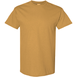Vêtements Homme T-shirts manches courtes Gildan Heavy Vanille