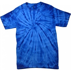 Vêtements Enfant T-shirts manches courtes Colortone Spider Bleu roi