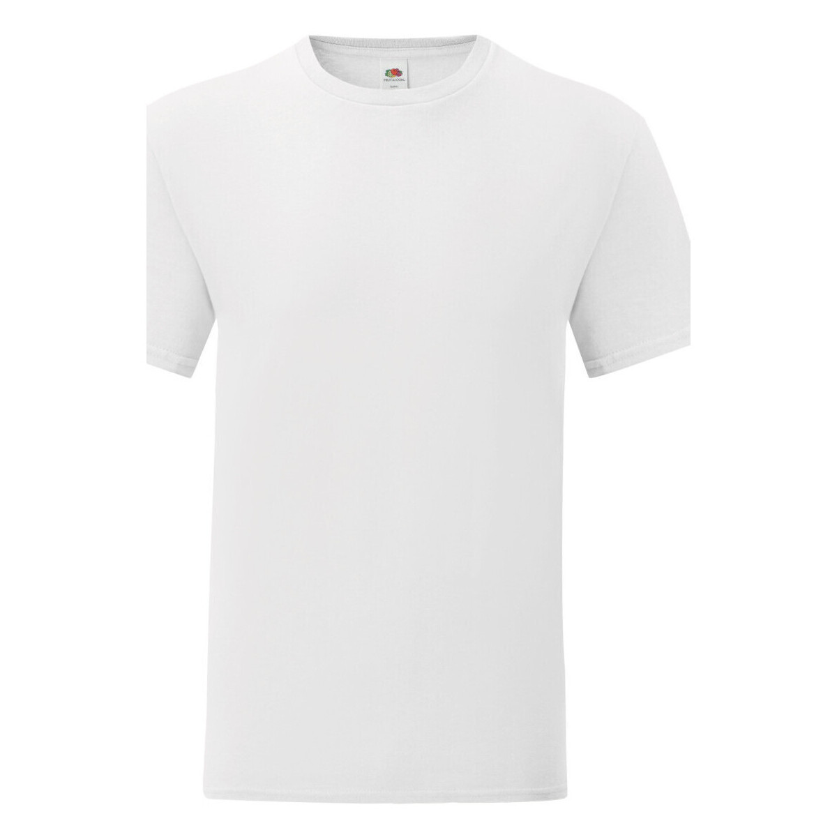 Vêtements Homme T-shirts manches longues Fruit Of The Loom Iconic 150 Blanc
