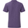Vêtements Homme T-shirts Mennace manches longues Fruit Of The Loom 61430 Violet