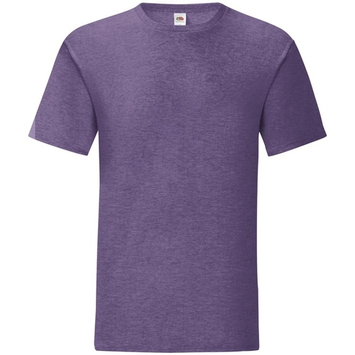 Vêtements Homme T-shirts Mennace manches longues Fruit Of The Loom 61430 Violet