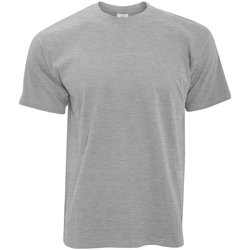 Vêtements Homme T-shirts manches courtes B And C Exact 190 Gris sport
