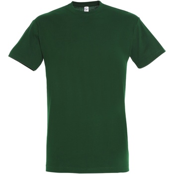 Vêtements Homme T-shirts manches courtes Sols Regent Vert