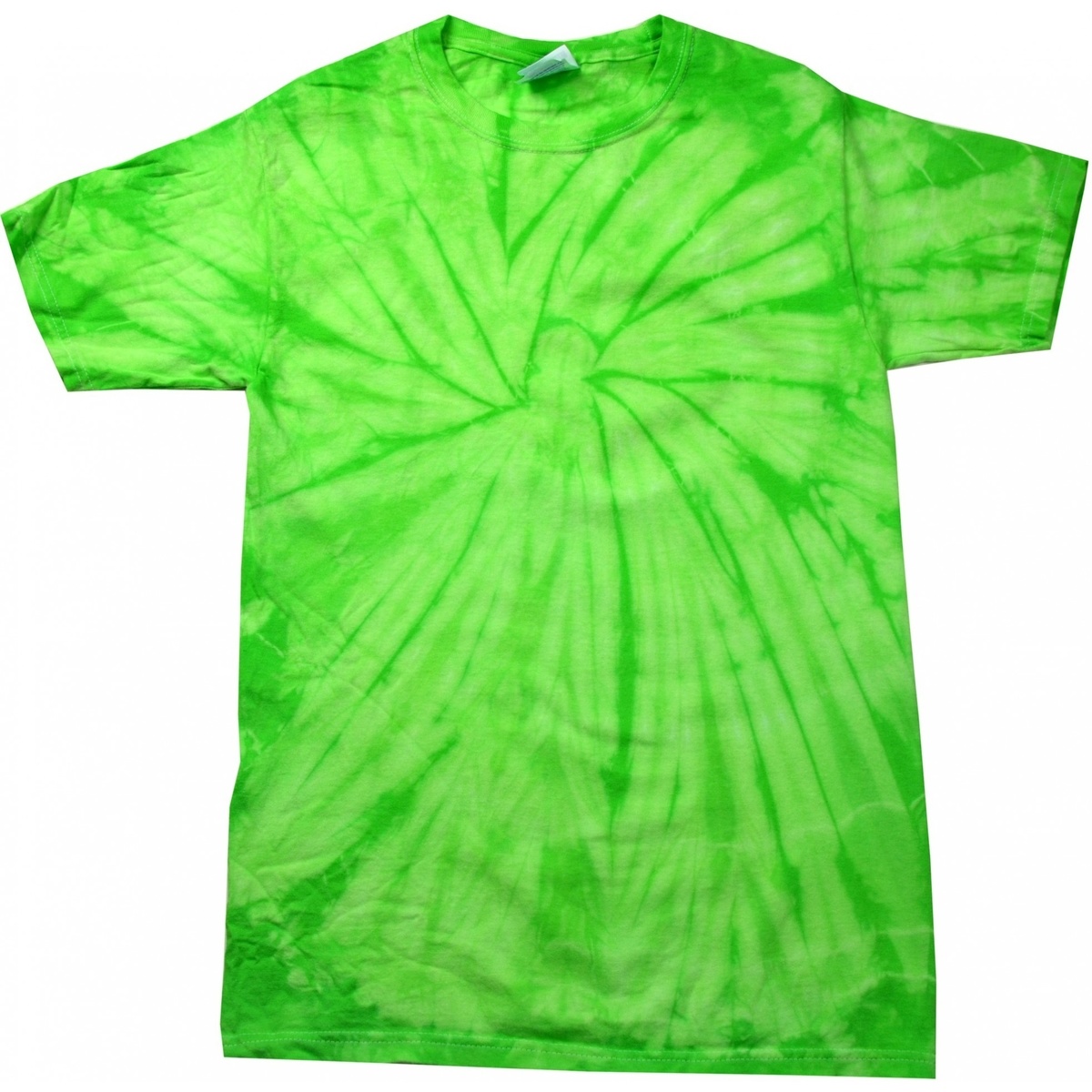 Vêtements Homme T-shirts manches longues Colortone Tonal Vert