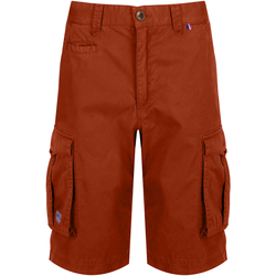 Vêtements Homme Shorts Violett / Bermudas Regatta  Rouge