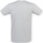 Vêtements Homme T-shirts manches courtes Skinni Fit SF122 Gris