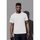 Vêtements Homme T-shirts manches longues Stedman  Blanc