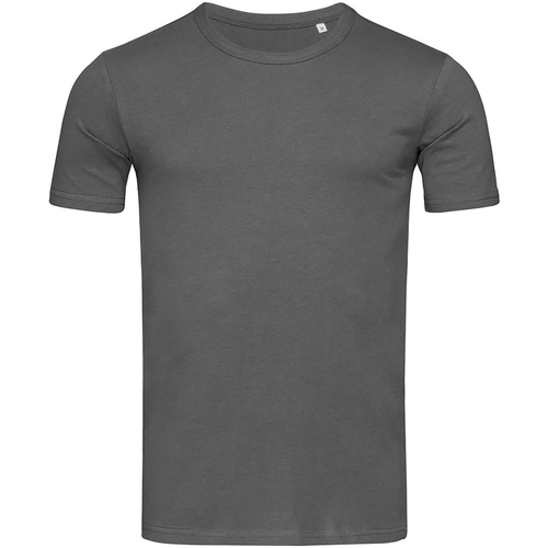 Vêtements Homme T-shirts manches longues Stedman Stars Morgan Gris