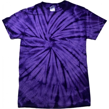 Vêtements Enfant T-shirts manches courtes Colortone Spider Violet