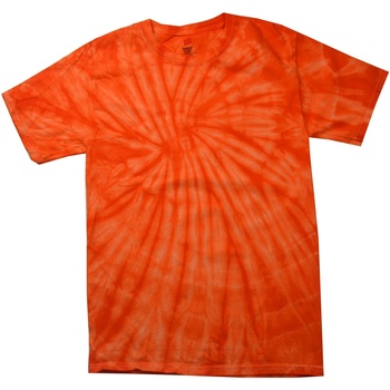 Vêtements Enfant T-shirts manches courtes Colortone Spider Orange