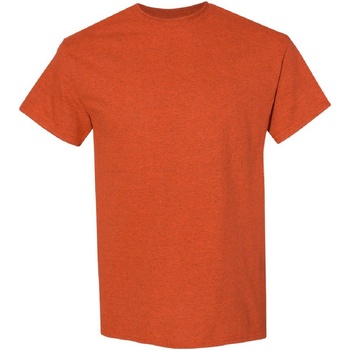 Vêtements Homme T-shirts manches courtes Gildan Heavy Orange brûlée