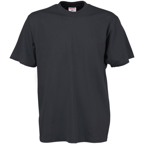 Vêtements Homme T-shirts manches courtes Tee Jays TJ8000 Gris