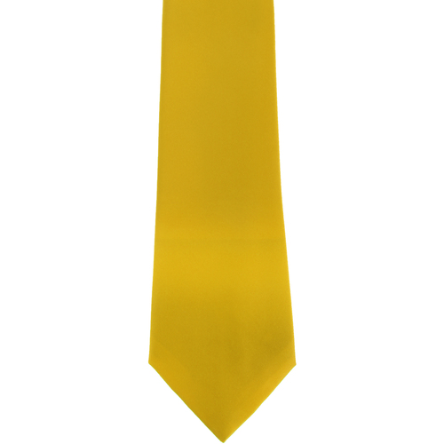 Vêtements Homme Cravates et accessoires Premier Satin Multicolore