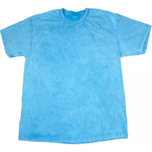 Vêtements Homme T-shirts manches courtes Colortone Mineral Bleu