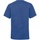 Vêtements Enfant T-shirts manches courtes Fruit Of The Loom 61033 Bleu