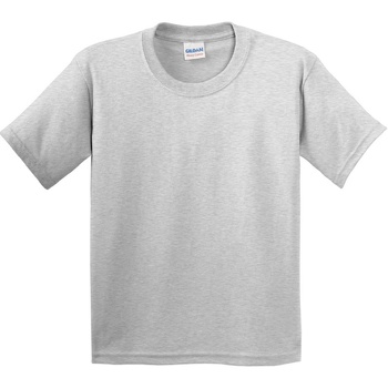Vêtements Enfant T-shirts manches courtes Gildan 5000B Gris
