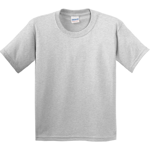 Vêtements Enfant T-shirts & Polos Gildan 5000B Gris