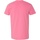 Vêtements Homme T-shirts manches courtes Gildan Softstyle Rouge