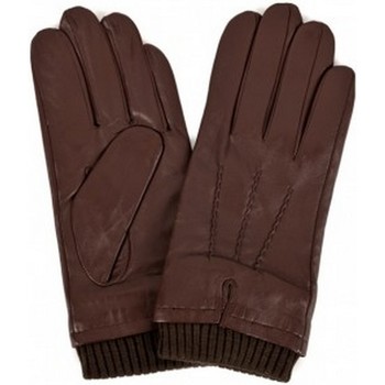 Accessoires textile Homme Gants Eastern Counties Leather  Multicolore