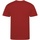 Vêtements Homme T-shirts manches longues Awdis Just Cool Performance Rouge