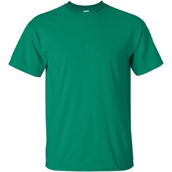 Vêtements Homme T-shirts manches courtes Gildan Ultra Vert tendre
