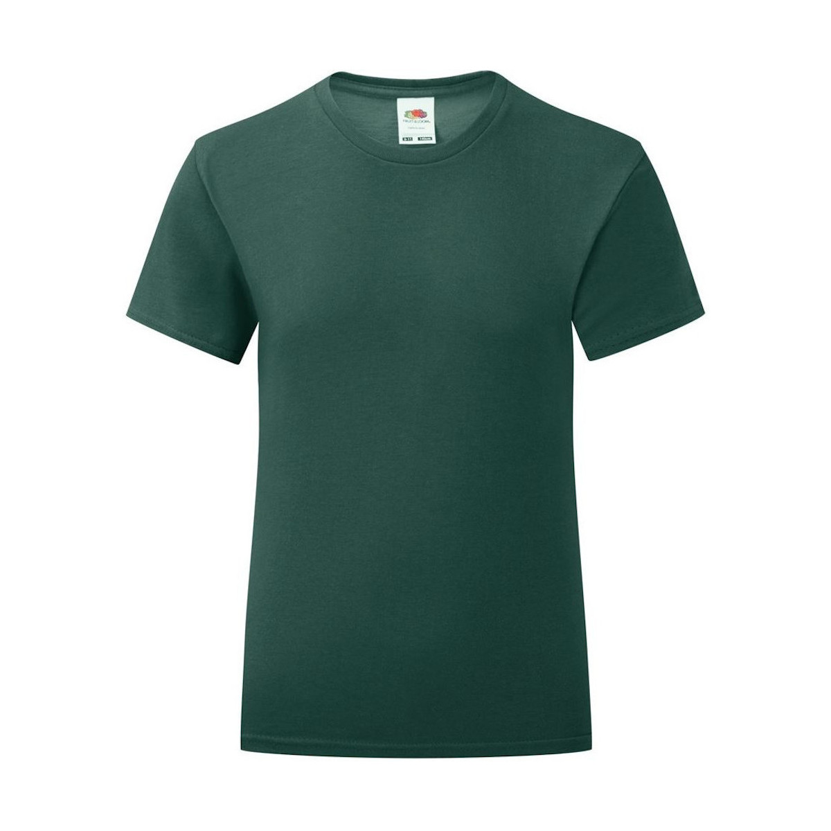 Vêtements Fille T-shirts manches longues Fruit Of The Loom Iconic Vert