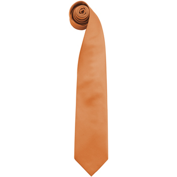 Vêtements Homme Cravates et accessoires Premier RW6935 Orange