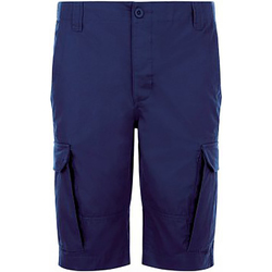 Vêtements Homme Shorts / Bermudas Sols Jackson Bleu