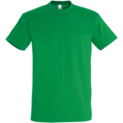 Vêtements Homme T-shirts manches courtes Sols Imperial Vert vif