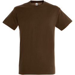 Vêtements Homme T-shirts manches courtes Sols 11380 Marron