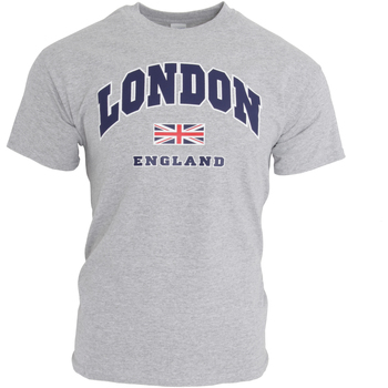 Vêtements Homme T-shirts manches courtes England  Gris