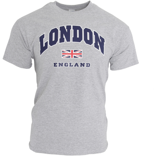 Vêtements Homme T-shirts manches courtes England SHIRT133 Gris
