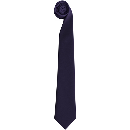 Vêtements Homme Cravates et accessoires Premier RW6941 Bleu