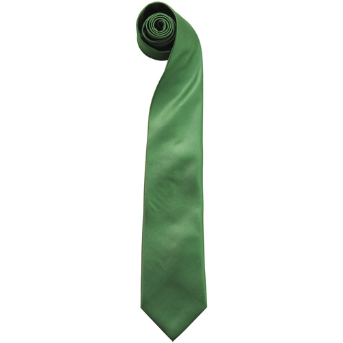 Vêtements Homme Cravates et accessoires Premier RW6935 Multicolore