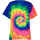 Vêtements Enfant T-shirts manches courtes Colortone TD02B Multicolore
