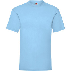Vêtements Homme T-shirts manches courtes Fruit Of The Loom 61036 Bleu clair