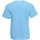 Vêtements Homme T-shirts sweater manches courtes Fruit Of The Loom 61036 Bleu