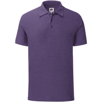 Vêtements Homme T-shirts & Polos Fruit Of The Loom Iconic Violet