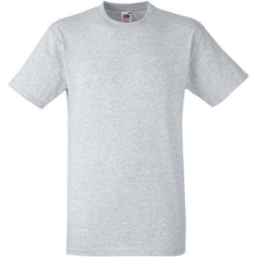 Vêtements Homme T-shirts manches courtes Fruit Of The Loom 61212 Gris