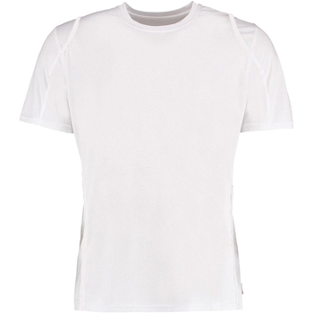 Vêtements Homme T-shirts manches courtes Gamegear Cooltex Blanc