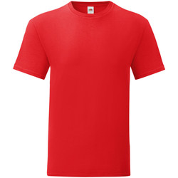 Vêtements Homme T-shirts wearing manches courtes Fruit Of The Loom 61430 Rouge