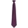 Vêtements Homme Cravates et accessoires Premier PR785 Violet