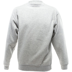 Vêtements Homme Sweats Ultimate bianco Clothing Collection UCC002 Gris