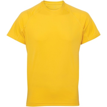 Vêtements Homme T-shirts manches courtes Tridri TR011 Multicolore