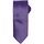 Vêtements Homme Cravates et accessoires Premier Puppy Violet