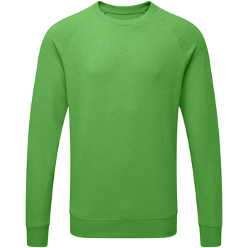 Vêtements Homme Sweats Russell HD Sweatshirt à manches raglan RW5506 Vert marne