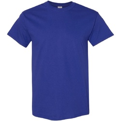 Vêtements Homme T-shirts manches courtes Gildan Heavy Cobalt