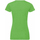 Vêtements Femme T-shirts manches longues Russell 165F Vert